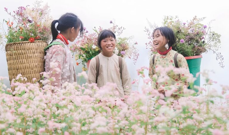 Buckwheat flower season in Ha Giang